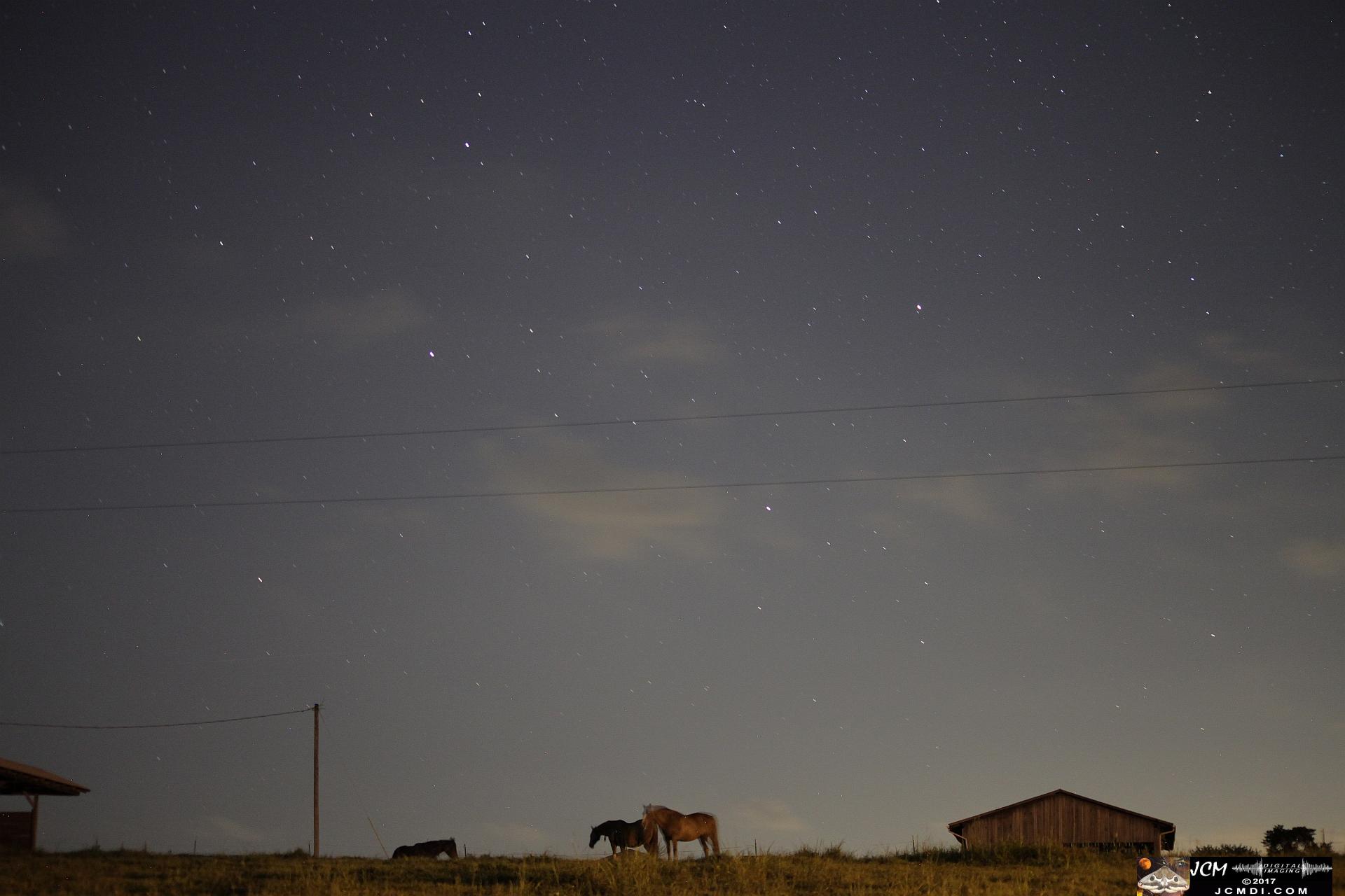 mares in pasture under starry sky